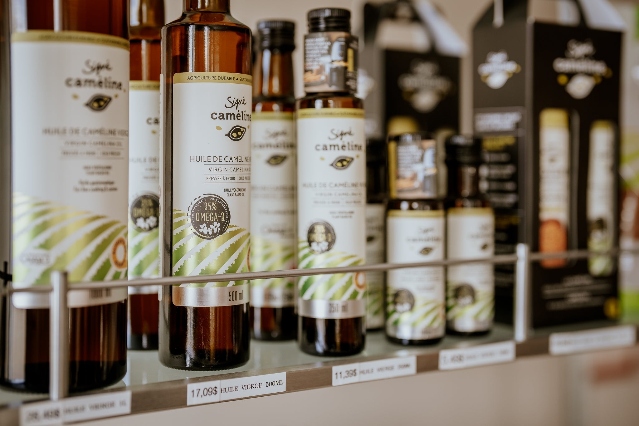 Vitamine E, tocophérols et phytostérols : les alliés naturels de la caméline