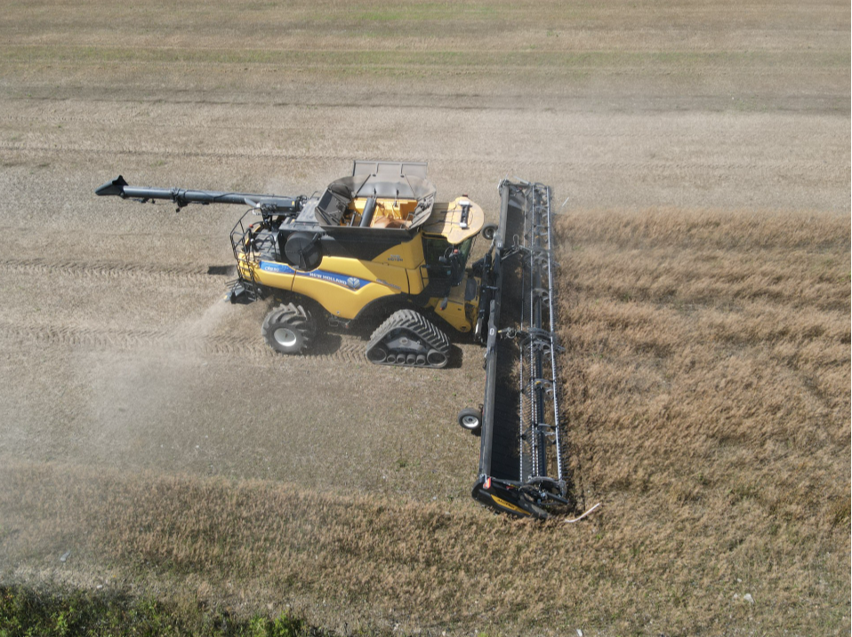 La récolte de caméline par Le Bulletin des agriculteurs