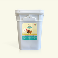 Supplément nutritionnel à base de tourteau de caméline oméga-3 pour poules pondeuses