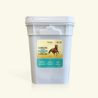 Protéine de caméline pour chevaux