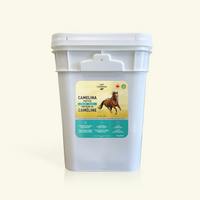 Protéine de caméline pour chevaux
