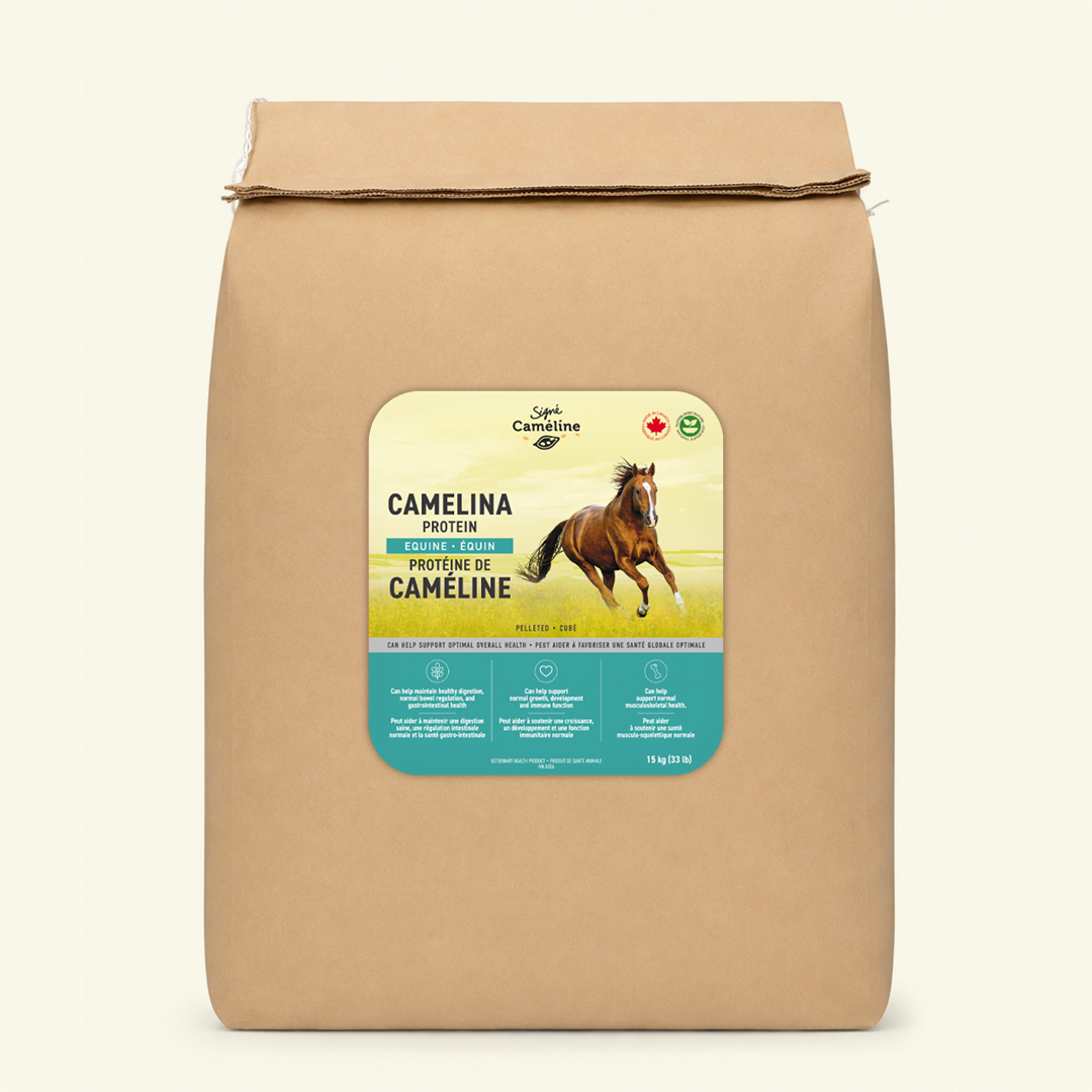 Tourteau de caméline cubé long pour chevaux 15kg