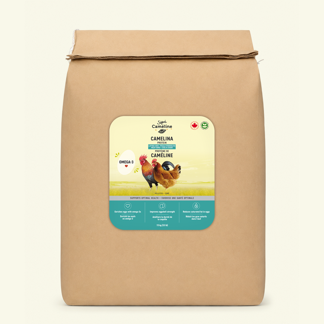 Tourteau de caméline cubé court pour poules 15kg