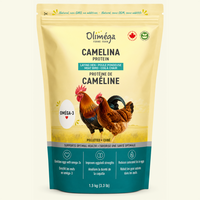 Supplément nutritionnel à base de tourteau de caméline oméga-3 pour poules pondeuses