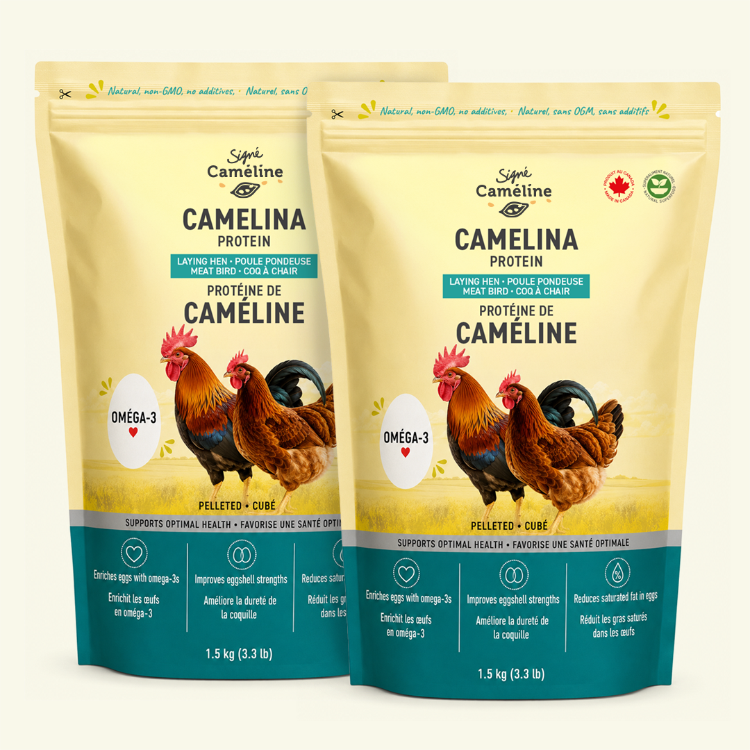 Omega-3 camelina meal-based nutritional supplement for laying hens