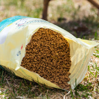 Supplément nutritionnel à base de tourteau de caméline oméga-3 pour poules pondeuses