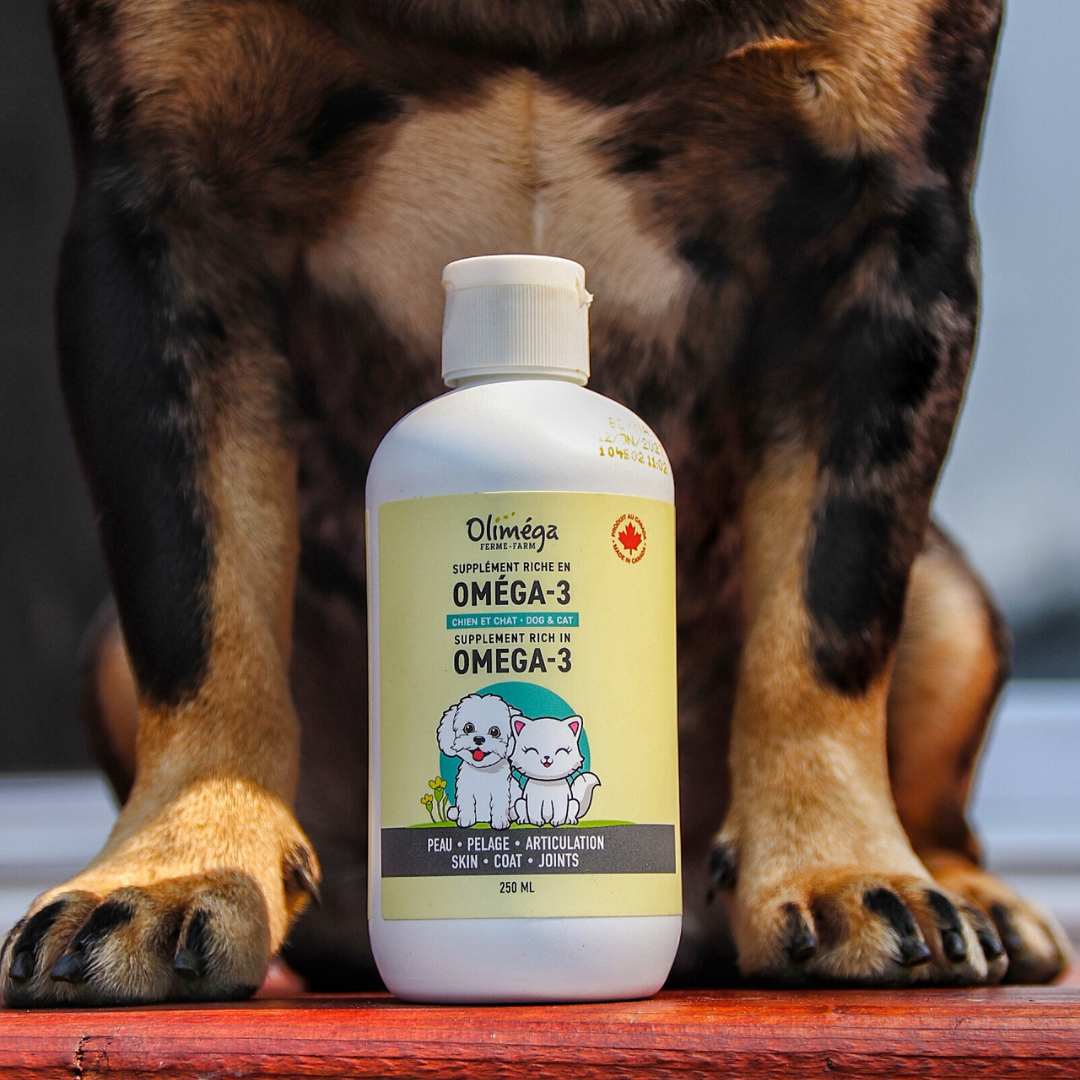 Huile de caméline oméga-3 pour chiens et chats - EN DUO