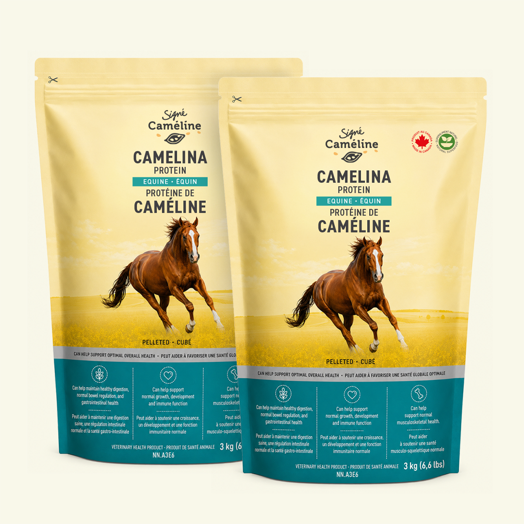 Protéine de caméline pour chevaux