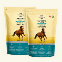 Protéine de caméline pour chevaux