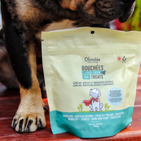 Ensemble duo gâterie pour chiens
