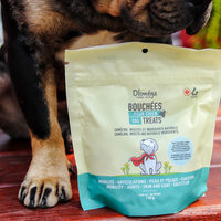 Ensemble pour petits chiens