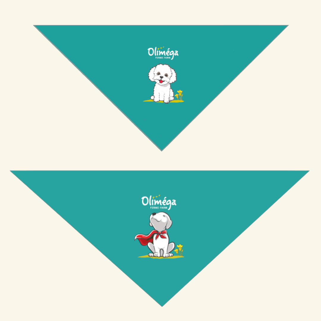 Bandana