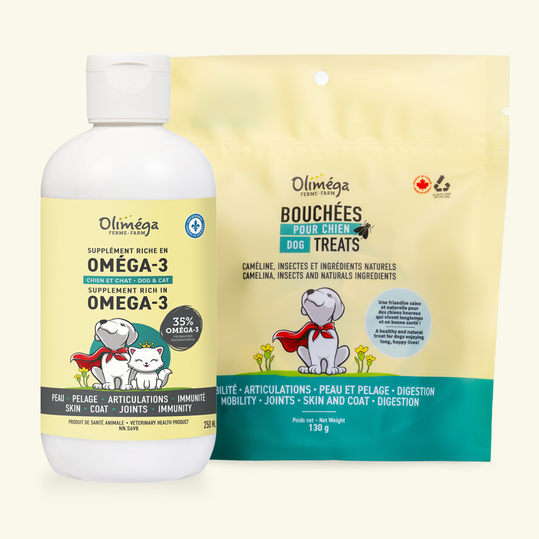 Ensemble pour petits chiens