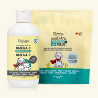 Ensemble pour petits chiens