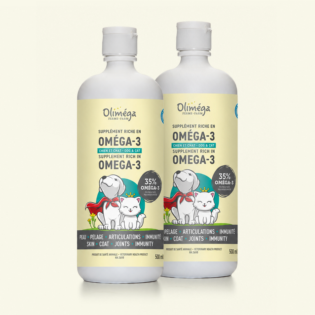 Huile de caméline oméga-3 pour chiens et chats - EN DUO
