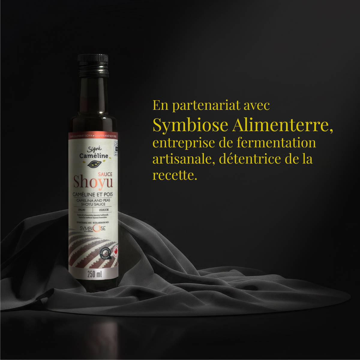 Sauce Shoyu caméline & pois