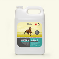 Equine Omega-3 Supplement