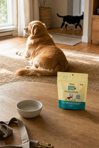 Bouchées pour chiens à base de caméline, d’insectes et d’ingrédients naturels