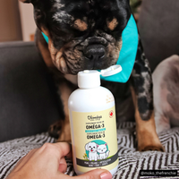 Huile de caméline oméga-3 pour chiens et chats - EN DUO