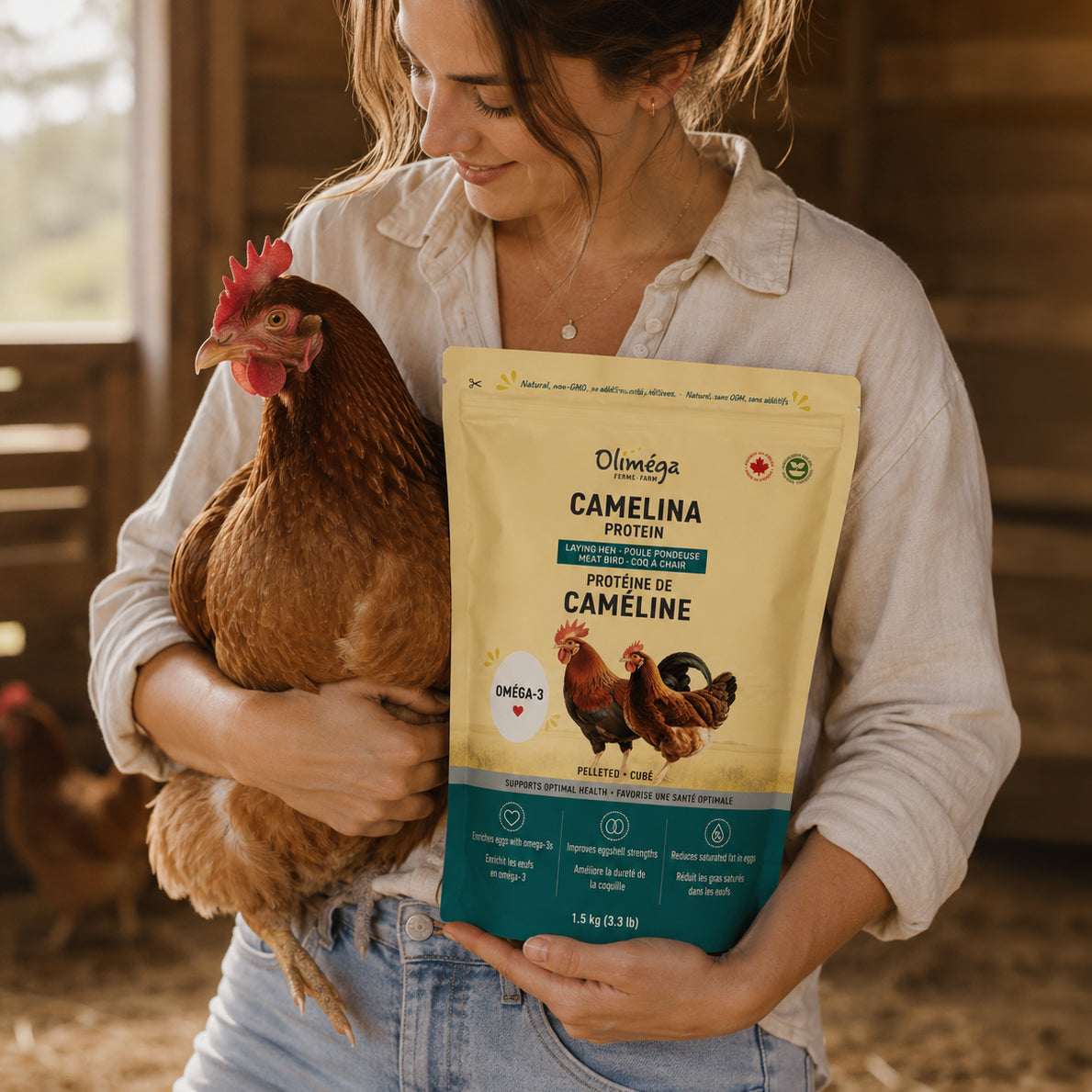 Supplément nutritionnel à base de tourteau de caméline oméga-3 pour poules pondeuses