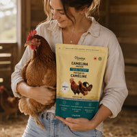 Supplément nutritionnel à base de tourteau de caméline oméga-3 pour poules pondeuses