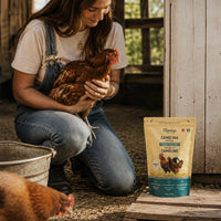 Supplément nutritionnel à base de tourteau de caméline oméga-3 pour poules pondeuses